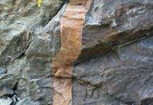 Niobium Carbonatites: Petrology and Mineralization Processes Calciocarbonatite in the Precambrian of Ontario, Canada.