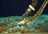 Scientists discover a hidden deep sea hotspot bursting with life Measuring the temperature on the seafloor: In the newly discovered hydrothermal field, hot liquid and cold gas bubble up from the sediment just a few centimeters apart. Credit: ROV Kiel 6000 / GEOMAR