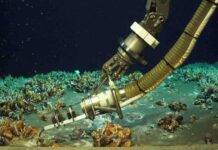 Scientists discover a hidden deep sea hotspot bursting with life Measuring the temperature on the seafloor: In the newly discovered hydrothermal field, hot liquid and cold gas bubble up from the sediment just a few centimeters apart. Credit: ROV Kiel 6000 / GEOMAR