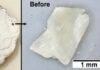 Discarded oyster shells may pull rare earth metals from polluted water The process in action on an oyster shell. Credit: Trinity College Dublin