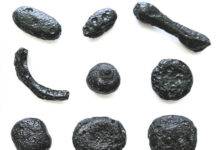 Impact-formed glass evidence of cosmic collision in Brazil about 6 million years ago Some examples of “geraisites,” named after the state of Minas Gerais where they were found, in their different forms (photo: Álvaro Penteado Crósta/IG-UNICAMP)