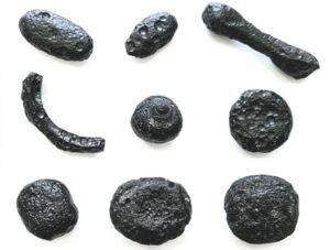 Some examples of “geraisites,” named after the state of Minas Gerais where they were found, in their different forms (photo: Álvaro Penteado Crósta/IG-UNICAMP)