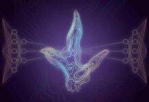 This AI app can tell which dinosaur made a footprint A Jurassic-aged dinosaur footprint from the Isle of Skye, Scotland, displayed in 5 mm contours from a photogrammetric model. Credit: Tone Blakesley