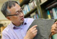 A rare fossil reveals that Earth’s earliest sponges were hiding in plain sight too soft to leave a trace. Virginia Tech geobiologist Shuhai Xiao and collaborators reported a 550 million-year-old sea sponge fossil, filling in a gap in the evolutionary family tree of one of the earliest animals. Photo by Spencer Coppage for Virginia Tech.