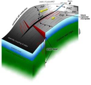 The northern end of the Cascadia subduction zone, where the Juan de Fuca (JdF) and Explorer (Exp) plates slowly move beneath the North American plate, is gradually shutting down piece by piece, with small pieces of the plate breaking off while the remaining plate continues to subduct until the next tear occurs.