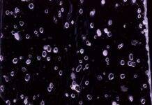 New ice core studies expand histories of greenhouse gases and ocean temperature to 3 million years Bubbles trapped in ancient Antarctic ice.