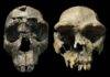 Scientists just discovered Africa is closer to breaking apart than we thought Homo erectus crania from the Turkana Rift. Left: WT 15000, ‘Turkana Boy’ from West Turkana. Right: ER 3733 from East Turkana. Photo: John Rowan