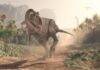 Why meat-eating dinosaurs like T. rex evolved tiny arms Artistic illustration of a T. rex. Credit: iStock / Orla