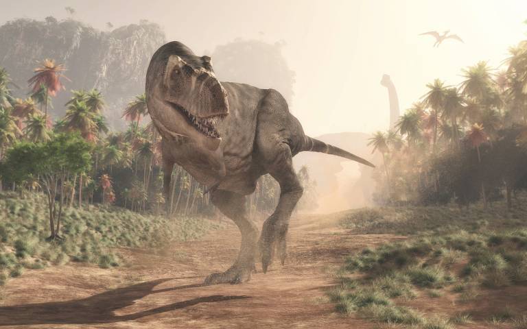 Why meat-eating dinosaurs like T. rex evolved tiny arms