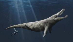An artist's impression of a pliosaur. Credit: Megan Jacobs/University of Portsmouth