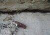 Researchers identify class of ‘oddball’ meteorite that killed the dinosaurs Residue of the Cretaceous-Paleogene impact. Dark clay-rich KT boundary layer in Stevn's Klint, Denmark used in the study. Credit: Dr. Philippe Claeys.