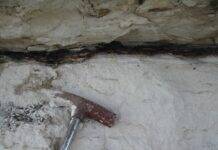 Researchers identify class of ‘oddball’ meteorite that killed the dinosaurs Residue of the Cretaceous-Paleogene impact. Dark clay-rich KT boundary layer in Stevn's Klint, Denmark used in the study. Credit: Dr. Philippe Claeys.