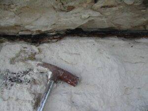 Residue of the Cretaceous-Paleogene impact. Dark clay-rich KT boundary layer in Stevn's Klint, Denmark used in the study. Credit: Dr. Philippe Claeys.