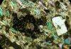 Scientists map rocks with rare earth element potential, helping pinpoint new deposits Carbonatite – one of the most common rare earth element-bearing igneous rocks Credit: Sally Gibson