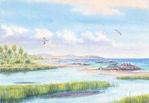 Capybaras in the desert? Fossil casts doubt on Atacama as world’s oldest continuously dry region Paleoenvironmental reconstruction of a group of Cardiatherium, a genus of extinct, direct relatives of modern capybaras, pictured in the late Miocene coastal wetlands and forestry canopy of the Atacama Region of northern Chile. Freshwater crocodiles float in the river, and seals can be seen basking on rocks while seabirds soar above the shoreline. Credit: MauriPaleoenvironmental reconstruction of a group of Cardiatherium, a genus of extinct, direct relatives of modern capybaras, pictured in the late Miocene coastal wetlands and forestry canopy of the Atacama Region of northern Chile. Freshwater crocodiles float in the river, and seals can be seen basking on rocks while seabirds soar above the shoreline. Credit: Mauricio Alvarezcio Alvarez