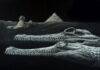 New crocodile species discovered in rocks used to build the Great Sphinx Reconstruction of the extinct Herugavialis cairensis with the Great Sphinx and pyramids depicted in the background. Credit: Karim Zanaty