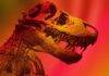 Scientists finally know the body temperature of the Tyrannosaurus rex Tyrannosaurus rex. Illustration by Nancy del Aguila/UCLA