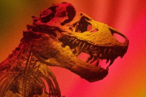 Tyrannosaurus rex.Illustration by Nancy del Aguila/UCLA