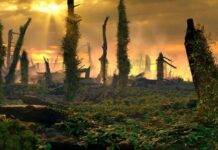 Triassic Inferno: Fires raged across Europe for thousands of years during past global warming Artist impression of the end-Triassic fern spike interval. Weeding and pioneering ferns are overgrowing the disturbed soils and remains of conifer forests. Credits: Mark Garlick.